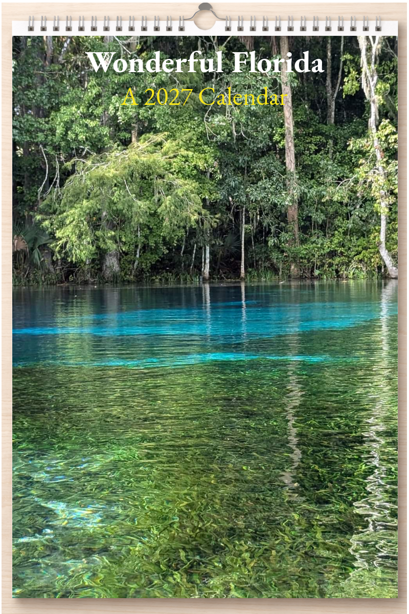Wonderful Florida: A 2027 Calendar