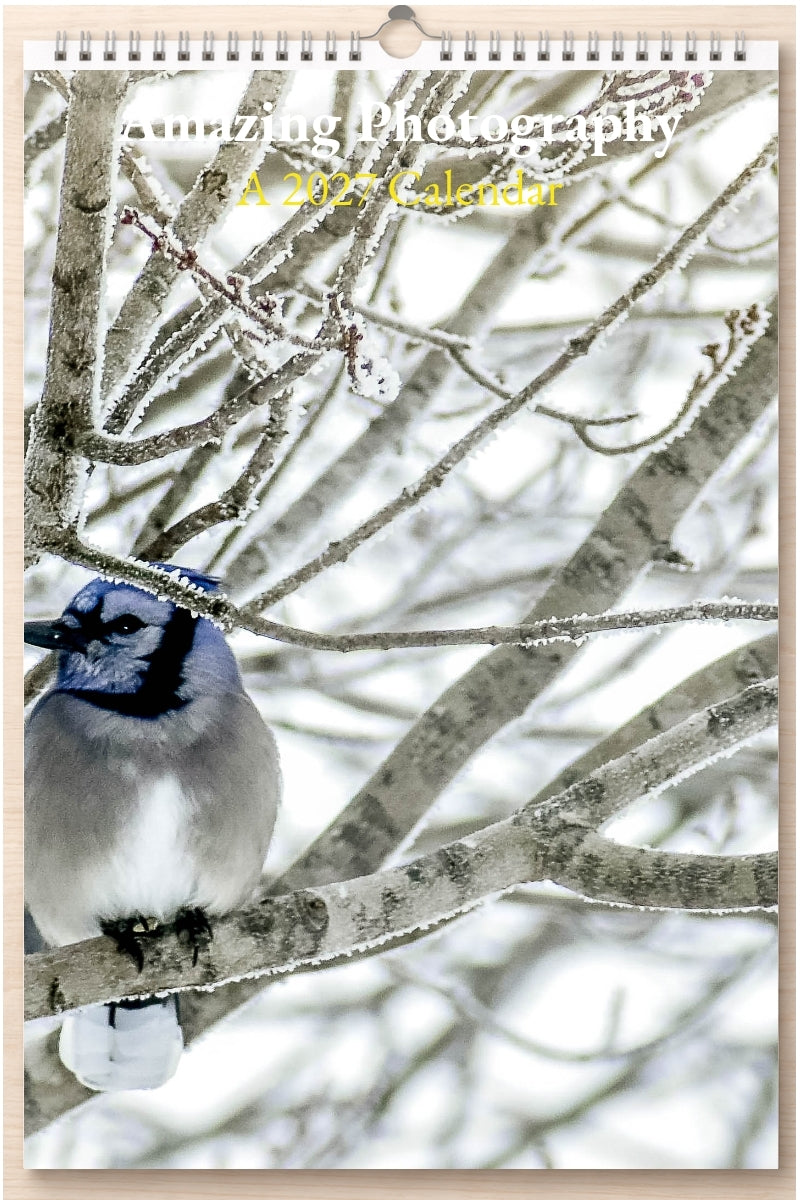 Amazing Photography: A 2027 Calendar