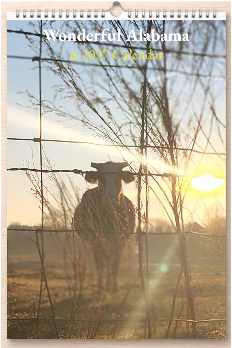 Wonderful Alabama: A 2027 Calendar