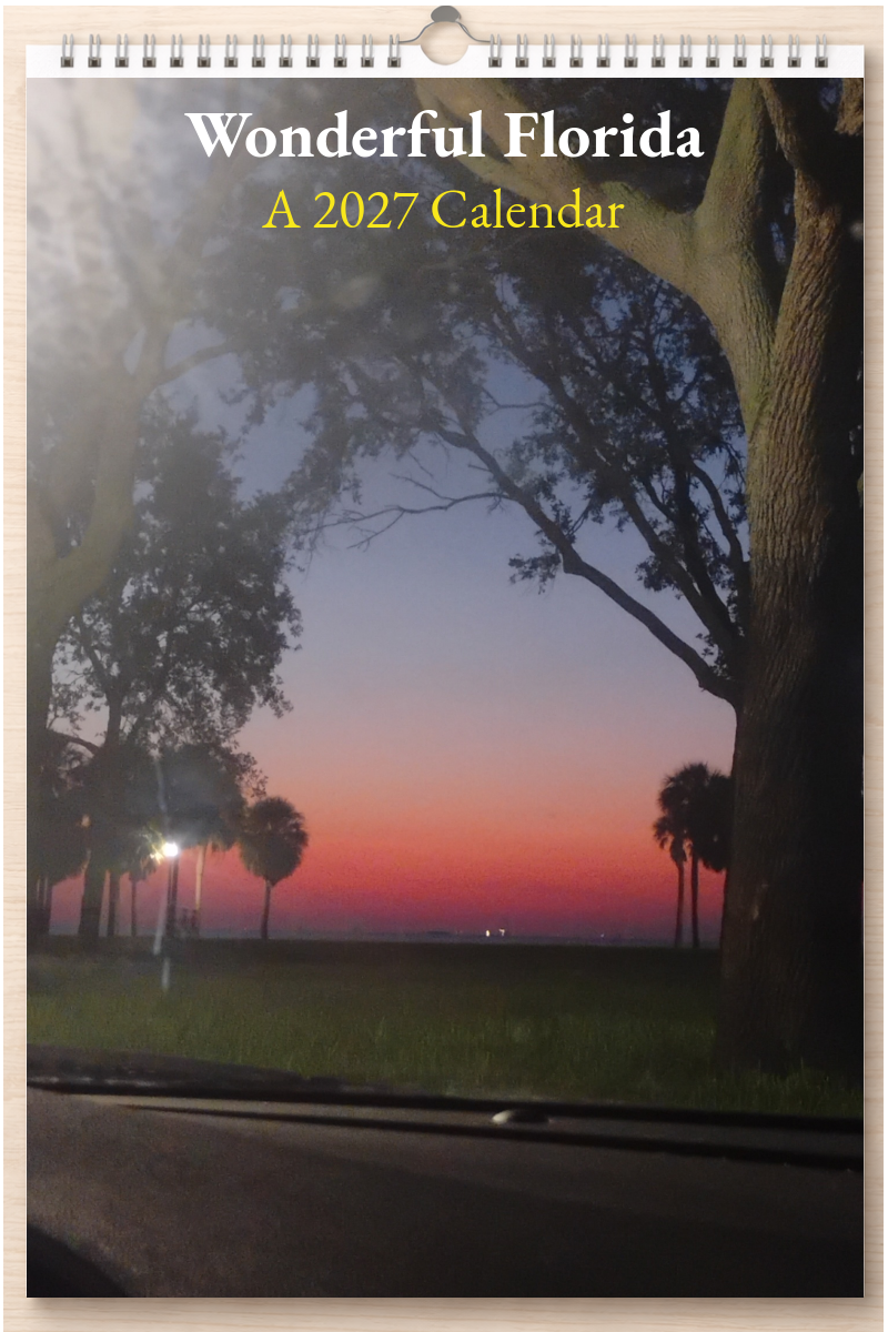 Wonderful Florida: A 2027 Calendar