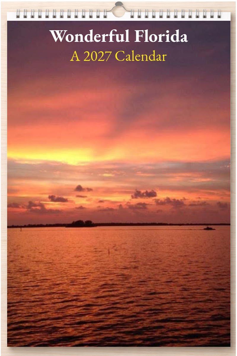 Wonderful Florida: A 2027 Calendar