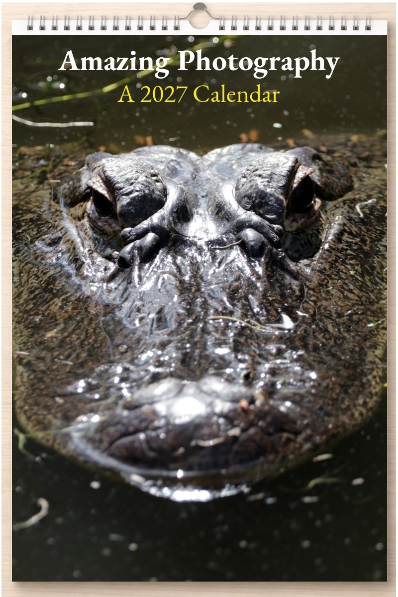 Amazing Photography: A 2027 Calendar