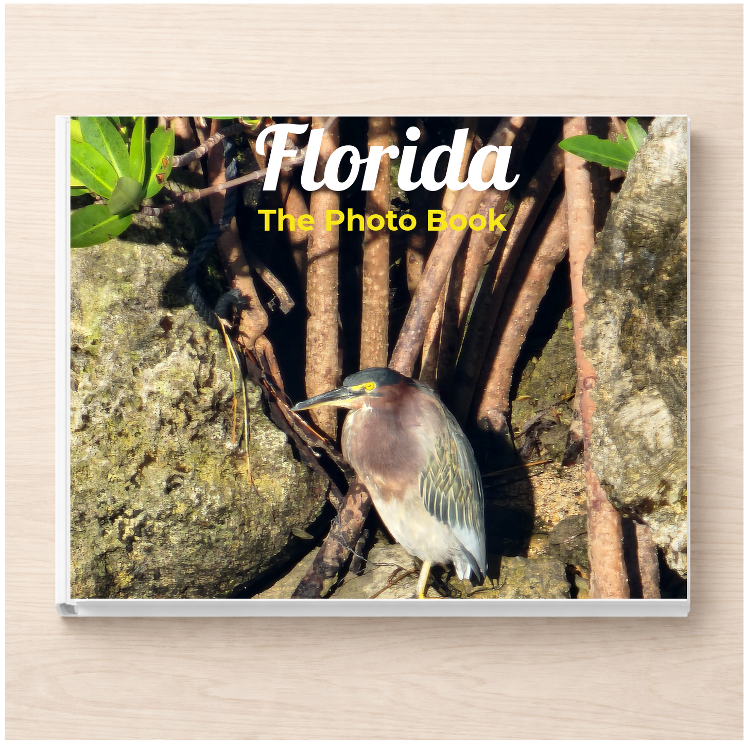 Florida: The Photo Book