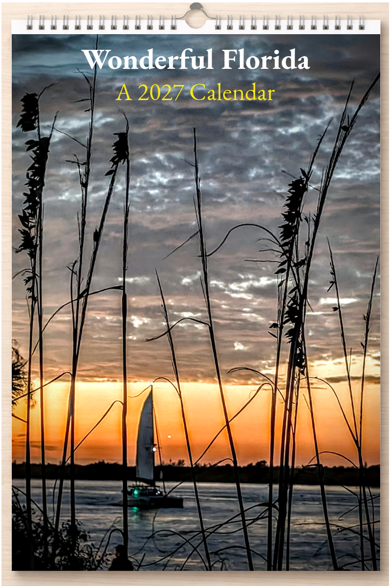 Wonderful Florida: A 2027 Calendar