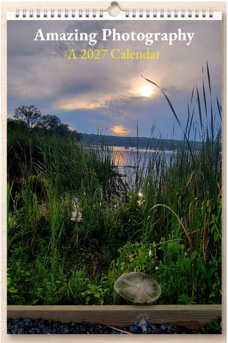Amazing Photography: A 2027 Calendar