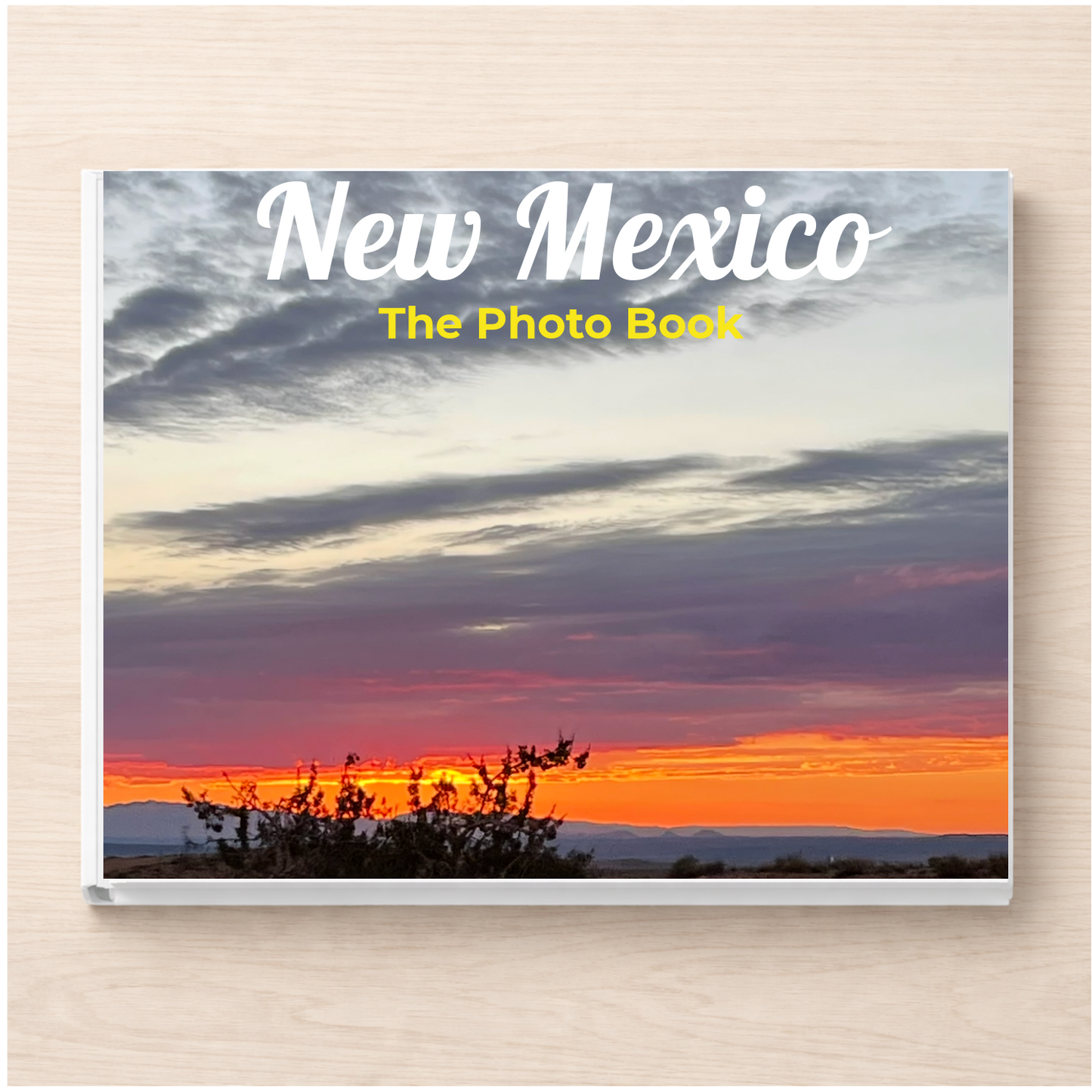 New Mexico: The Photo Book