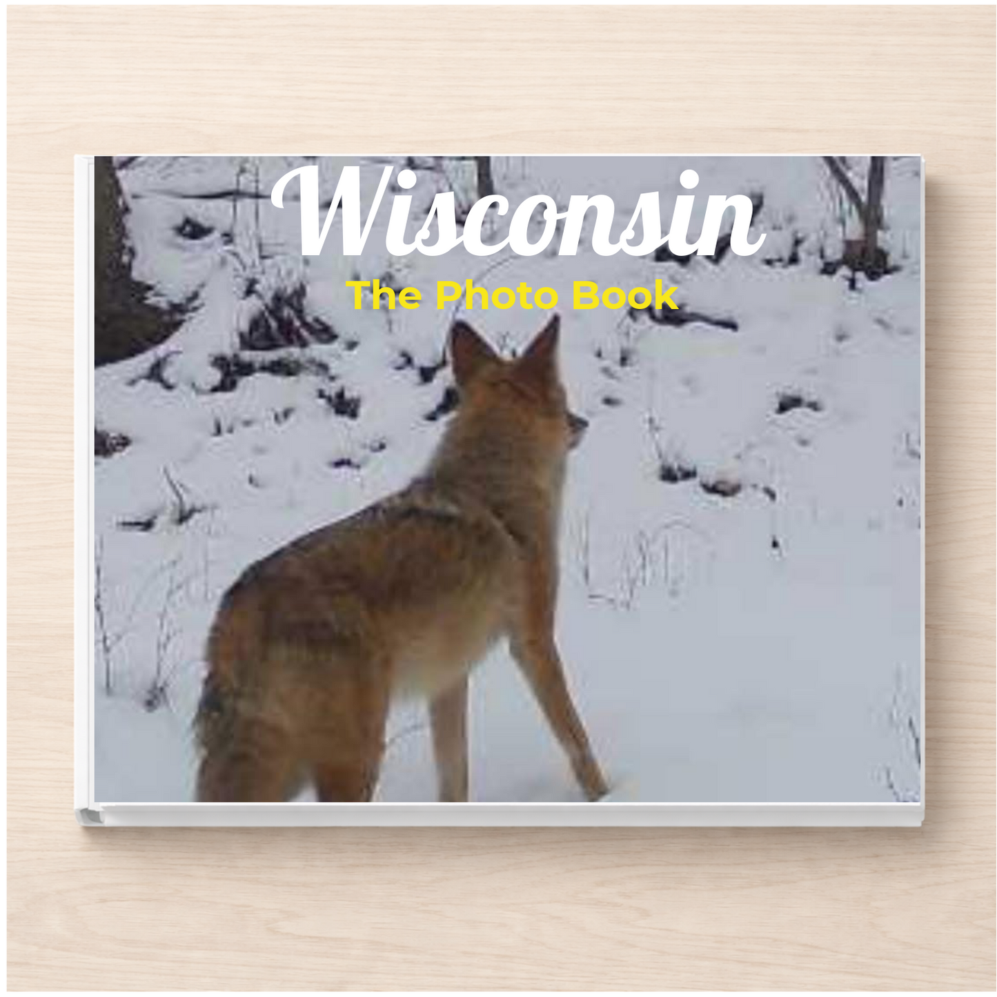 Wisconsin: The Photo Book