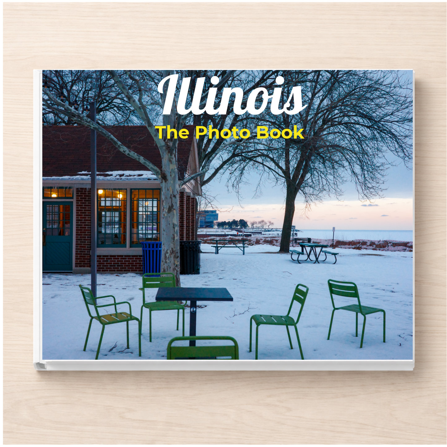 Illinois: The Photo Book