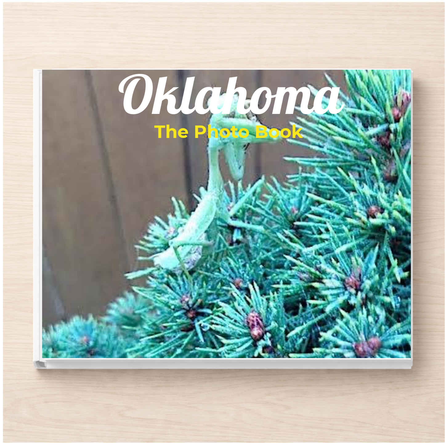 Oklahoma: The Photo Book