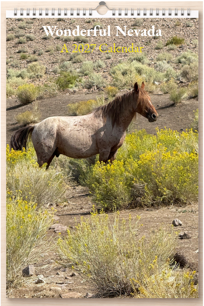 Wonderful Nevada: A 2027 Calendar