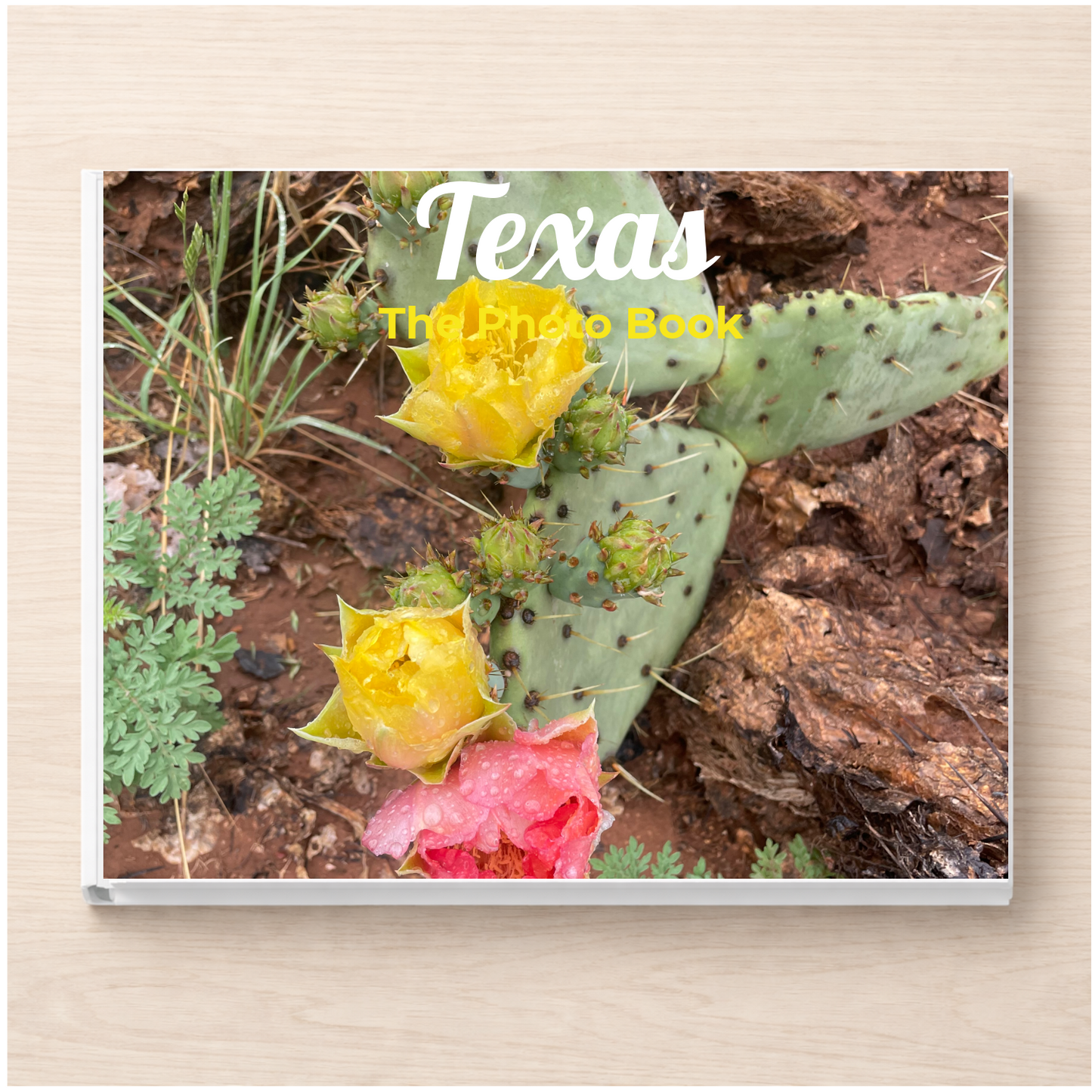 Texas: The Photo Book