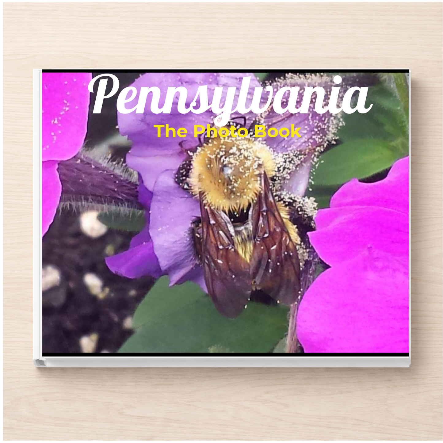 Pennsylvania: The Photo Book