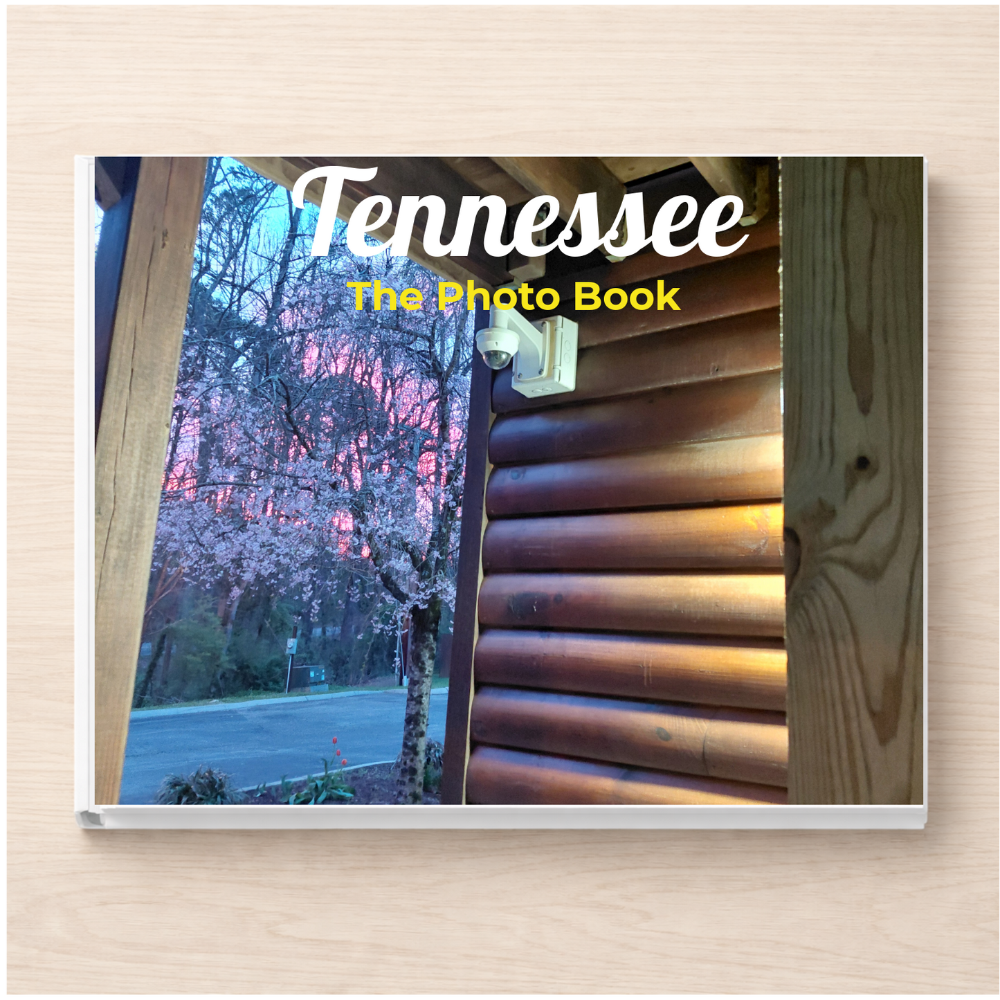 Tennessee: The Photo Book