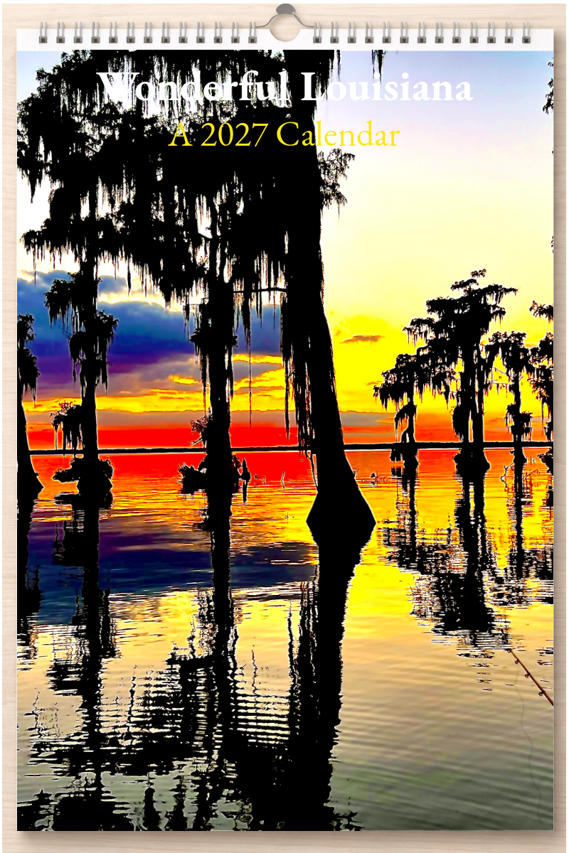 Wonderful Louisiana: A 2027 Calendar