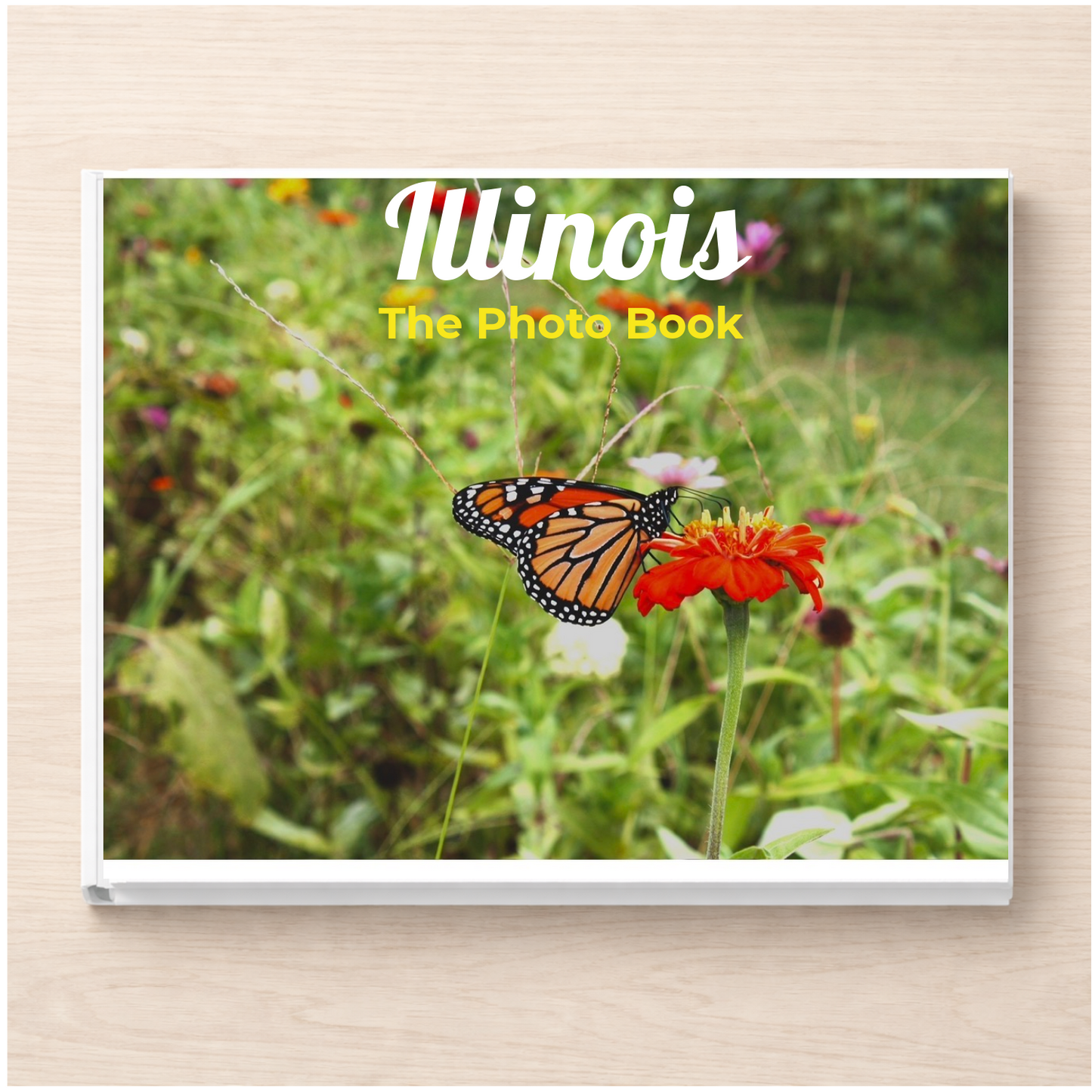 Illinois: The Photo Book
