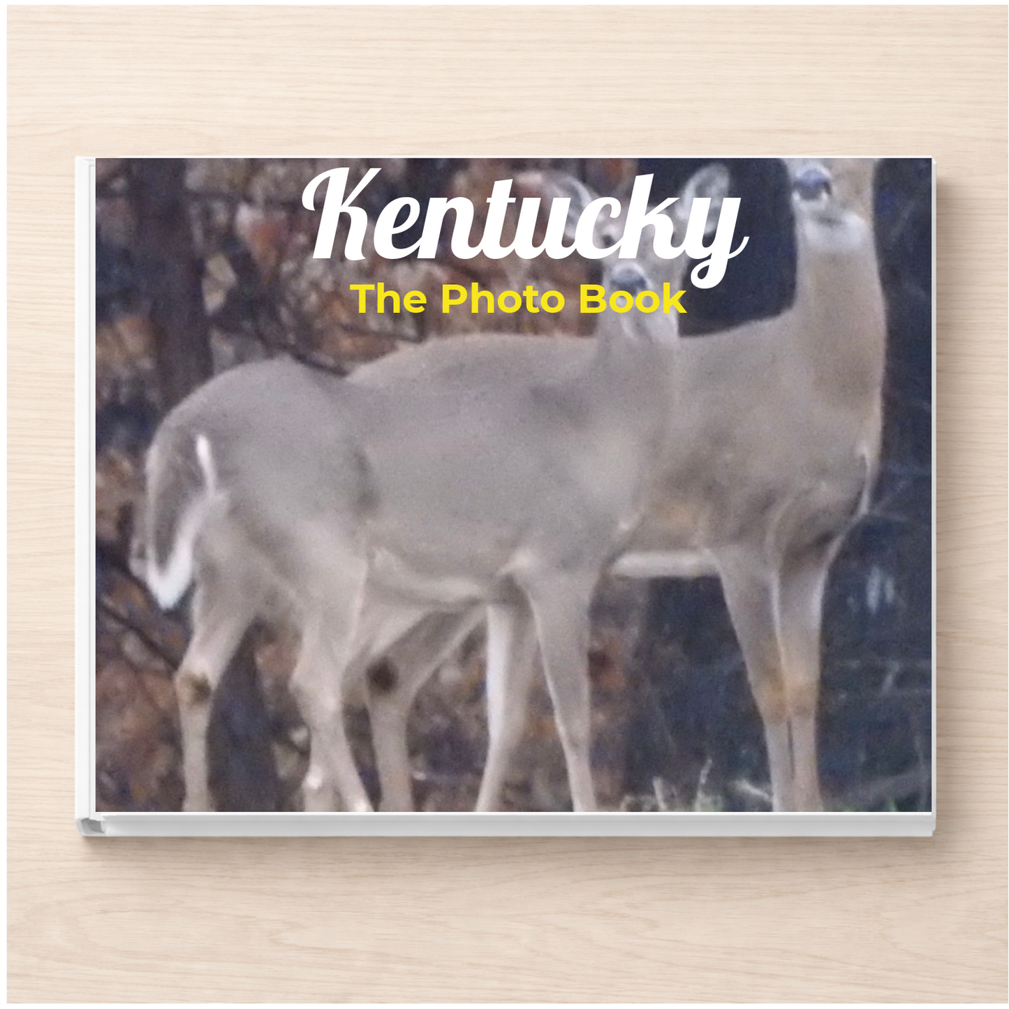 Kentucky: The Photo Book