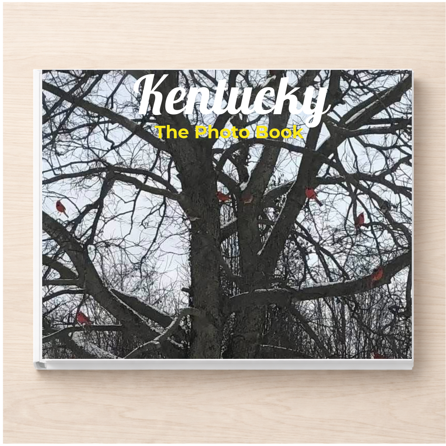 Kentucky: The Photo Book