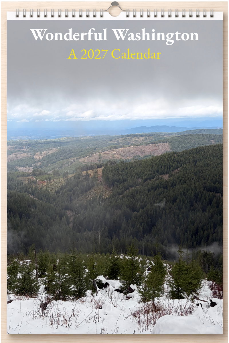 Wonderful Washington: A 2027 Calendar
