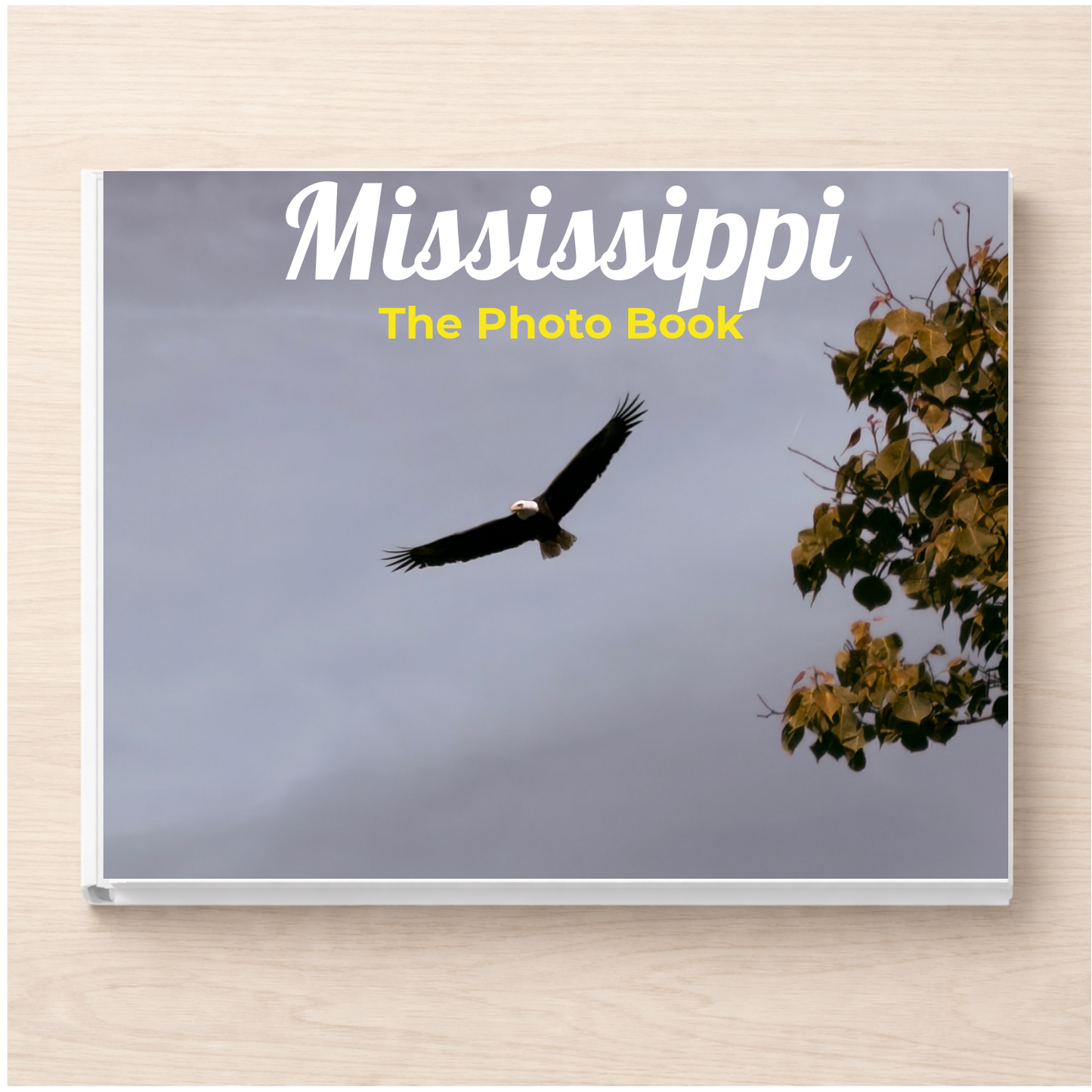 Mississippi: The Photo Book