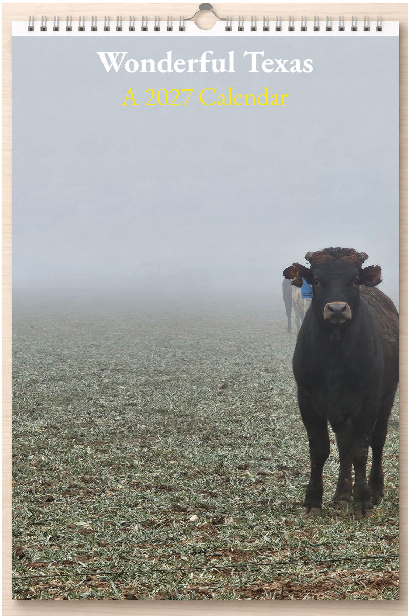 Wonderful Texas: A 2027 Calendar