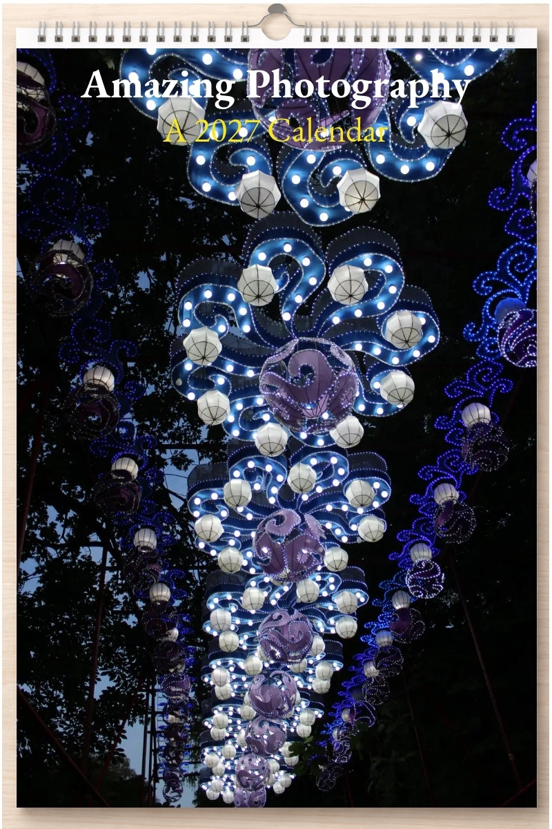 Amazing Photography: A 2027 Calendar