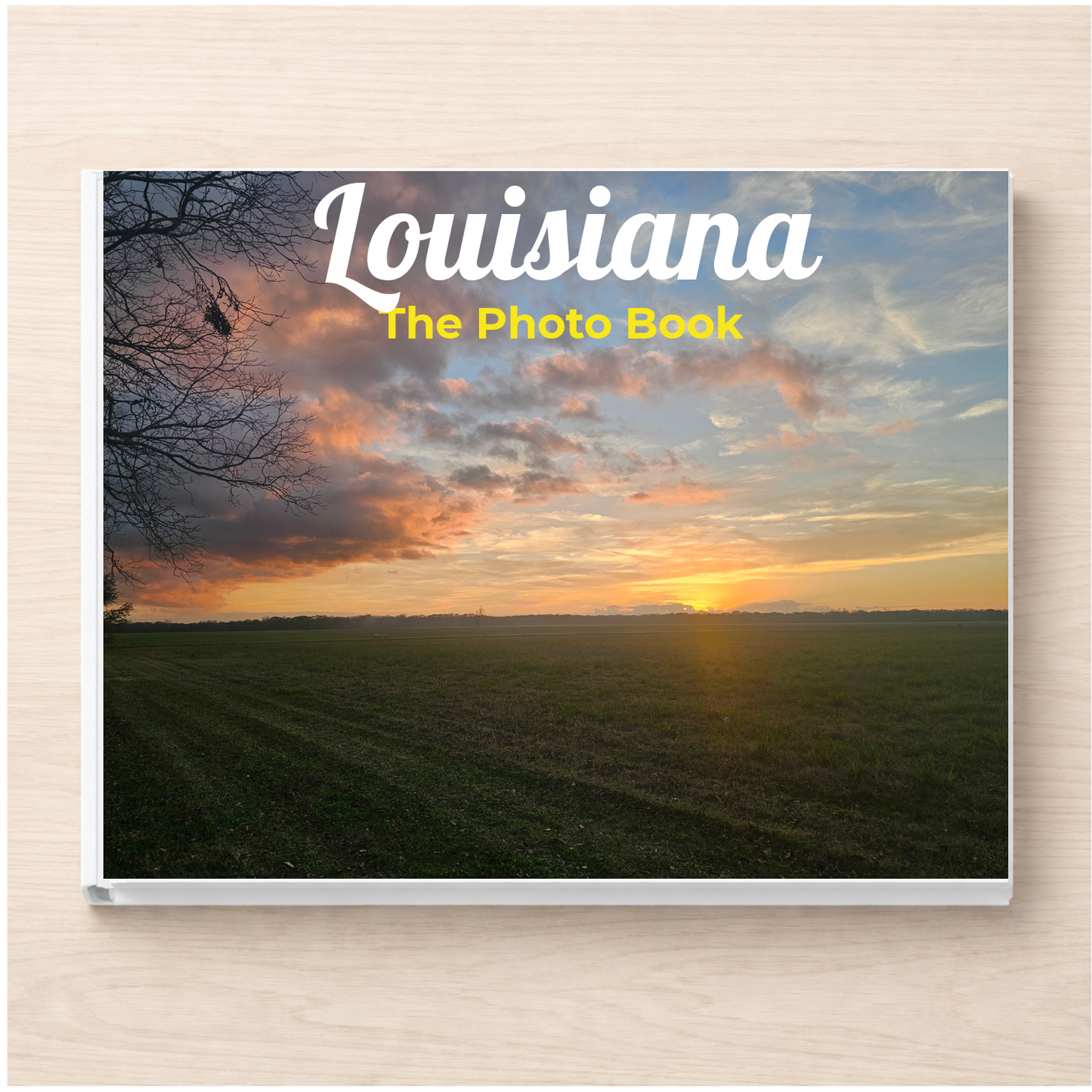 Louisiana: The Photo Book