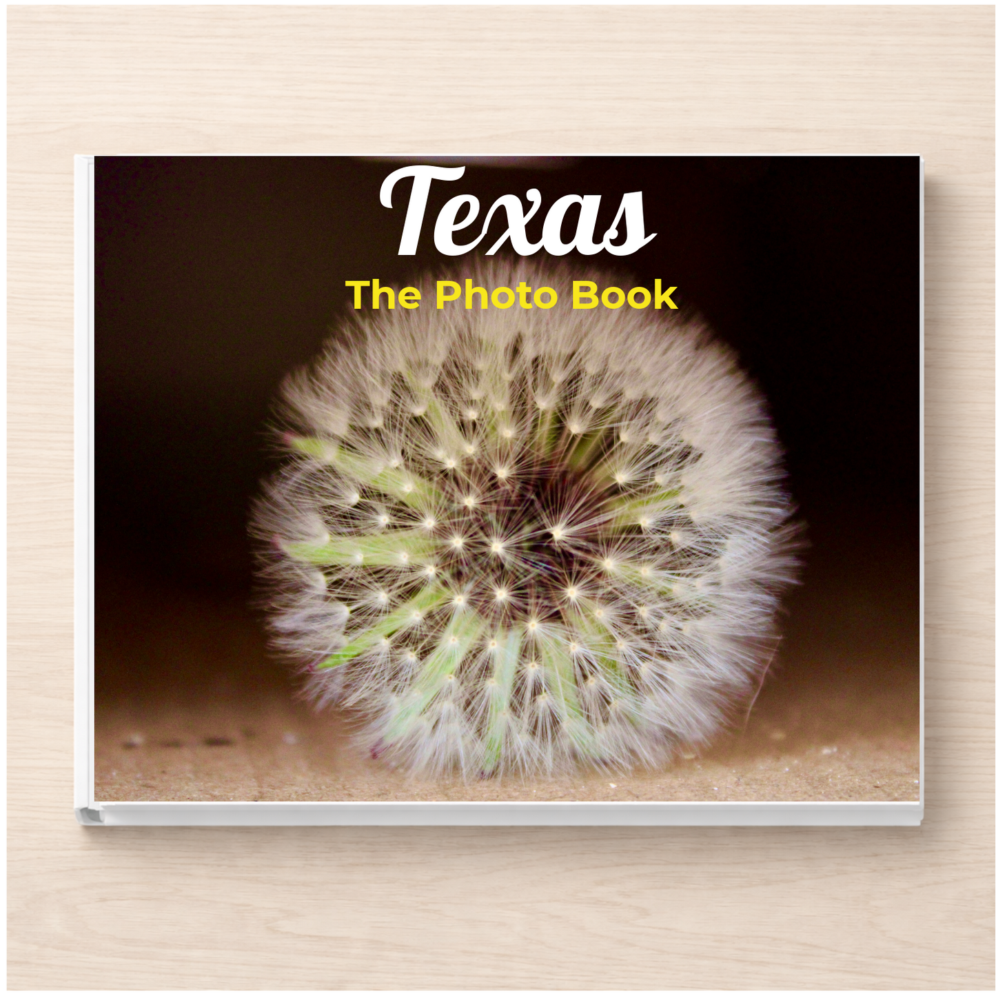 Texas: The Photo Book