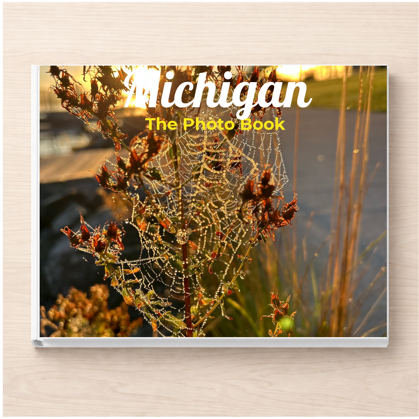 Michigan: The Photo Book