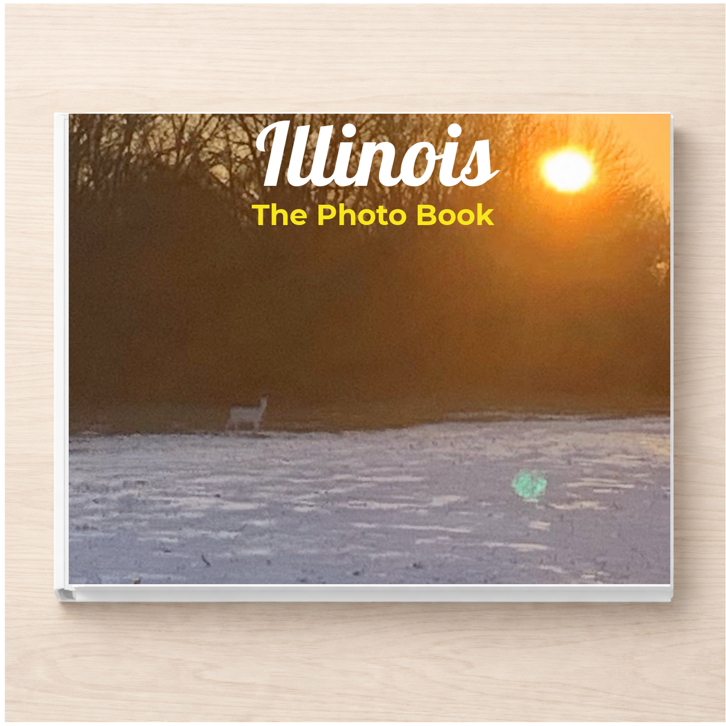 Illinois: The Photo Book
