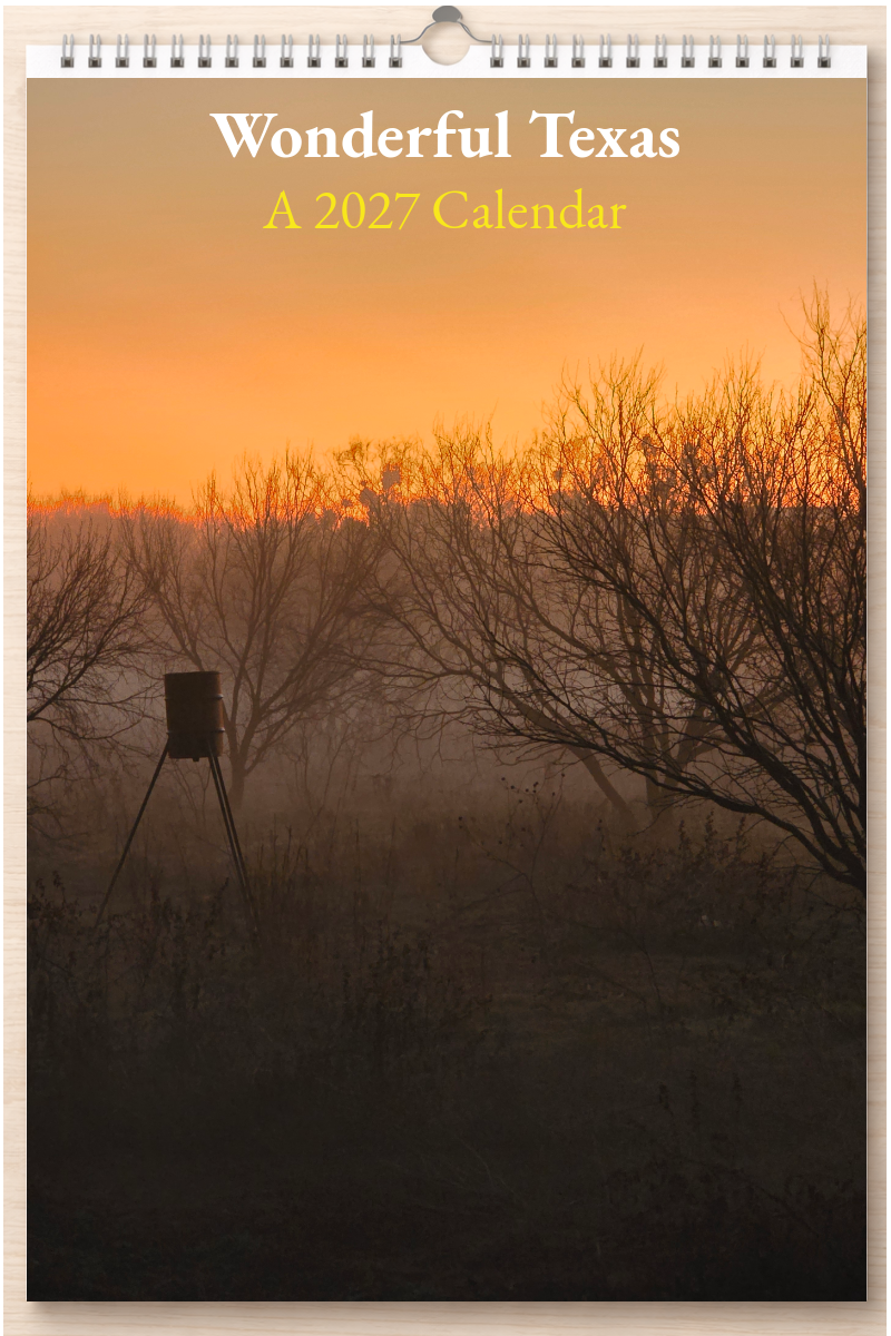 Wonderful Texas: A 2027 Calendar