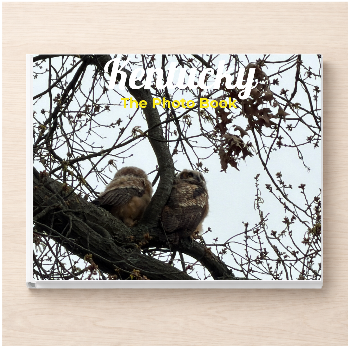 Kentucky: The Photo Book