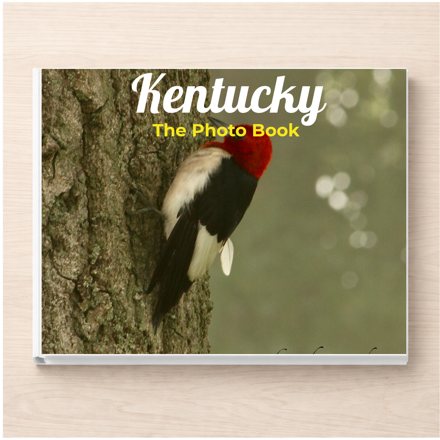 Kentucky: The Photo Book