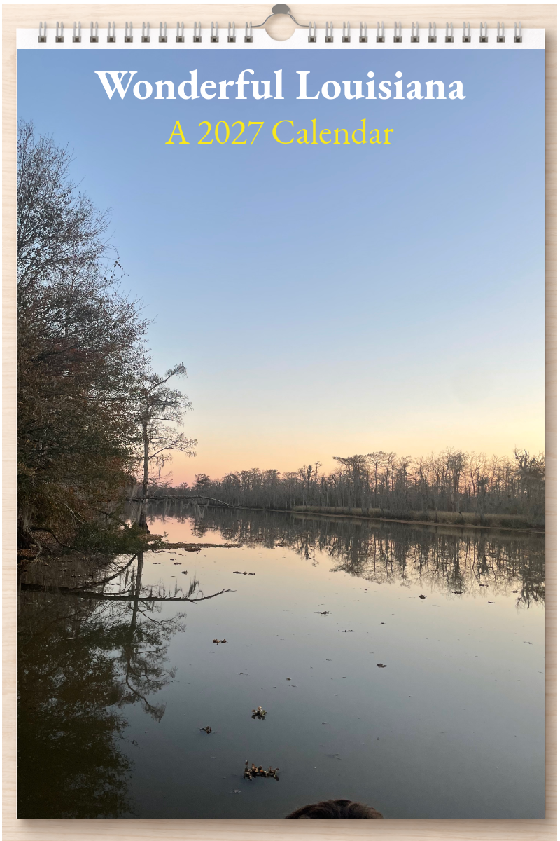 Wonderful Louisiana: A 2027 Calendar