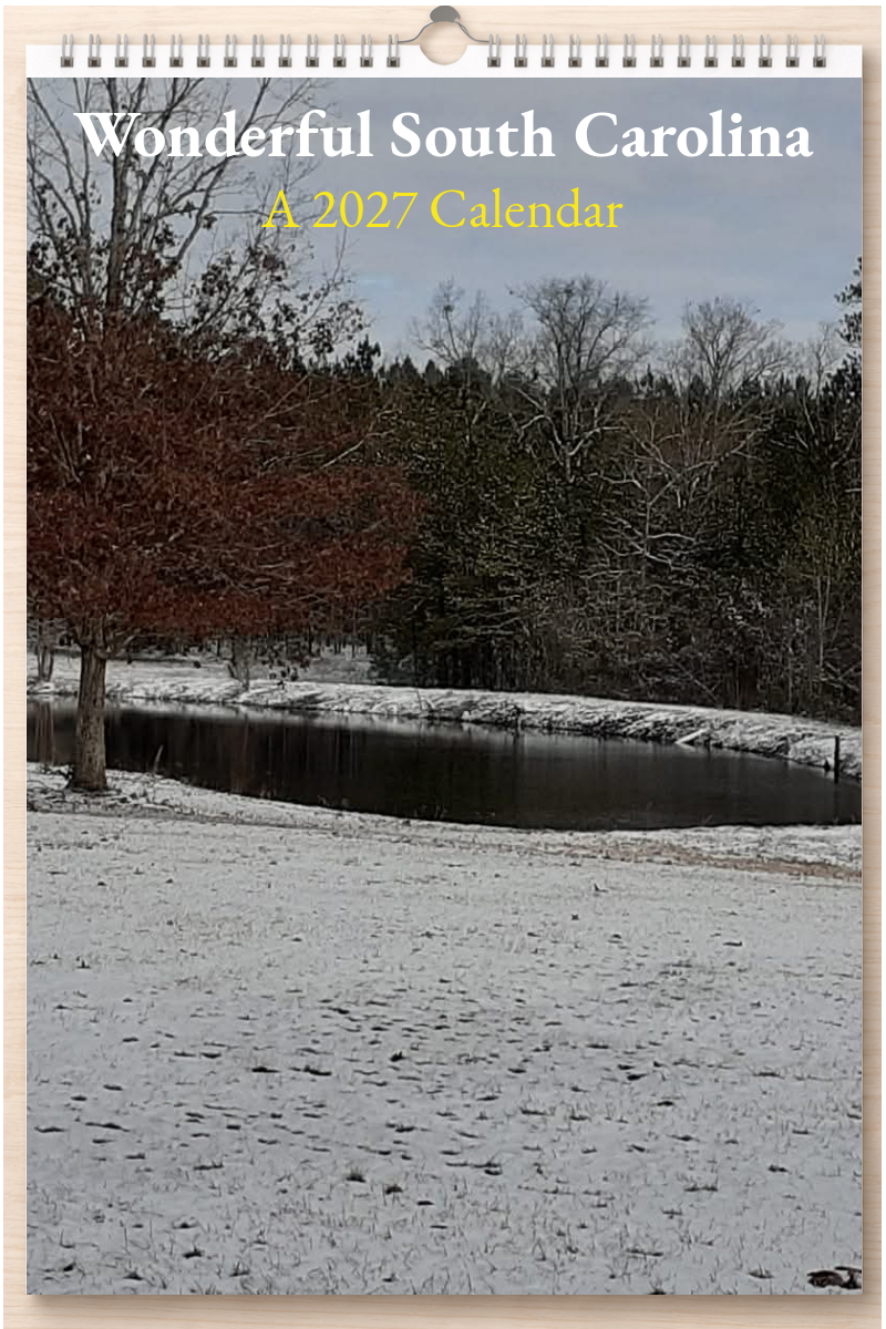 Wonderful South Carolina: A 2027 Calendar