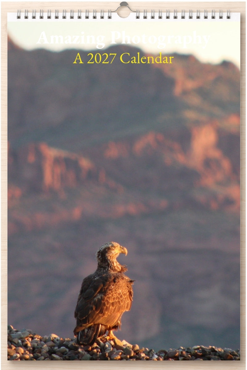 Amazing Photography: A 2027 Calendar