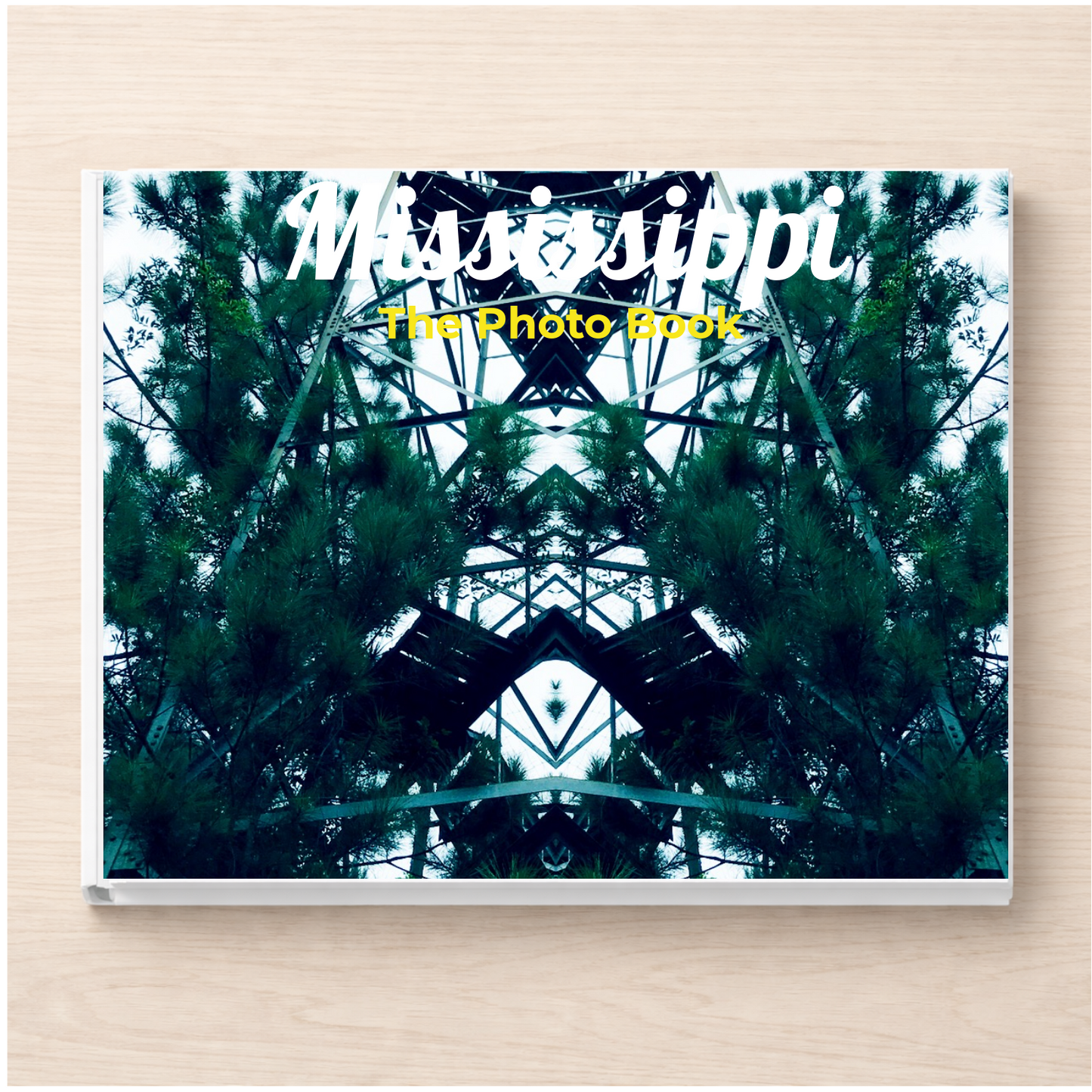 Mississippi: The Photo Book