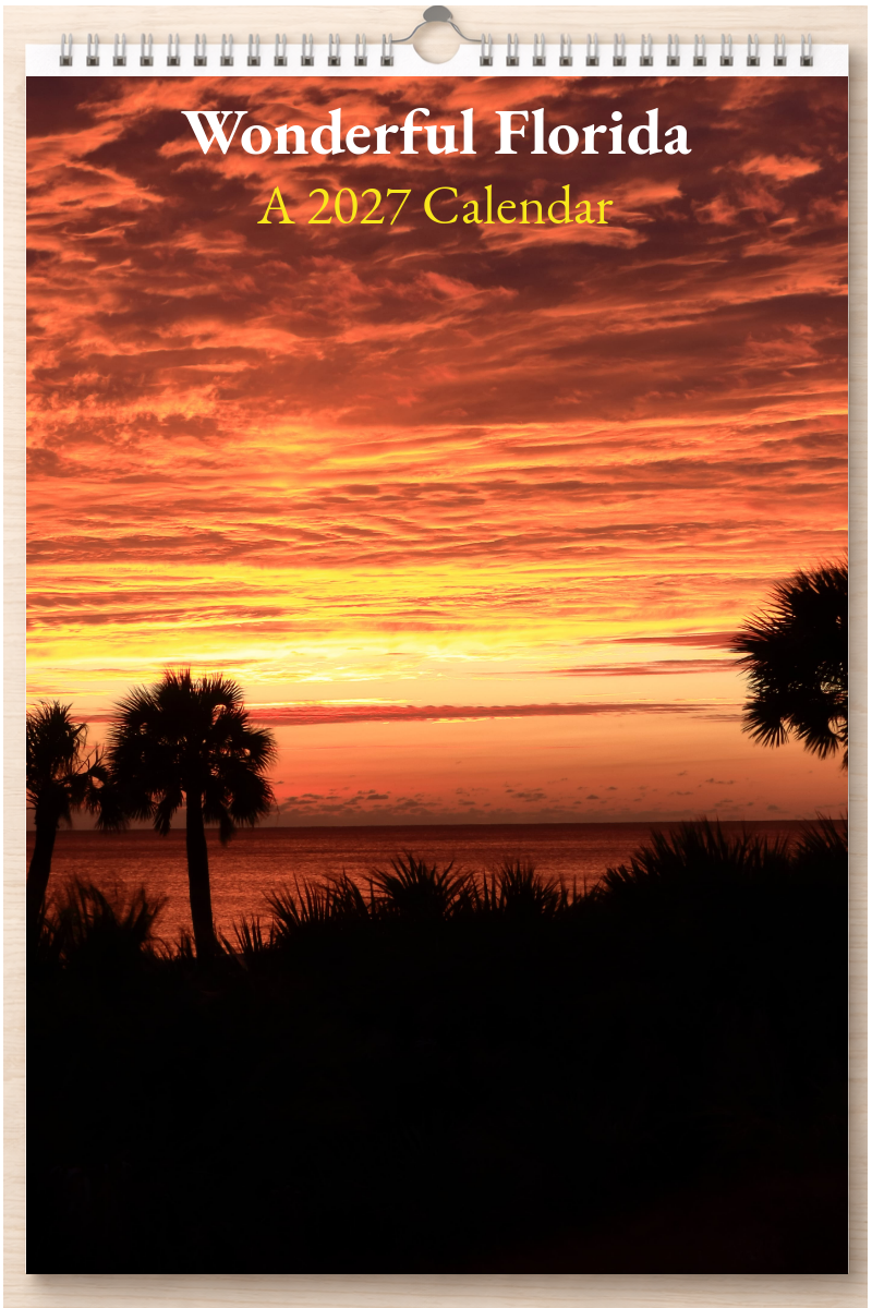 Wonderful Florida: A 2027 Calendar