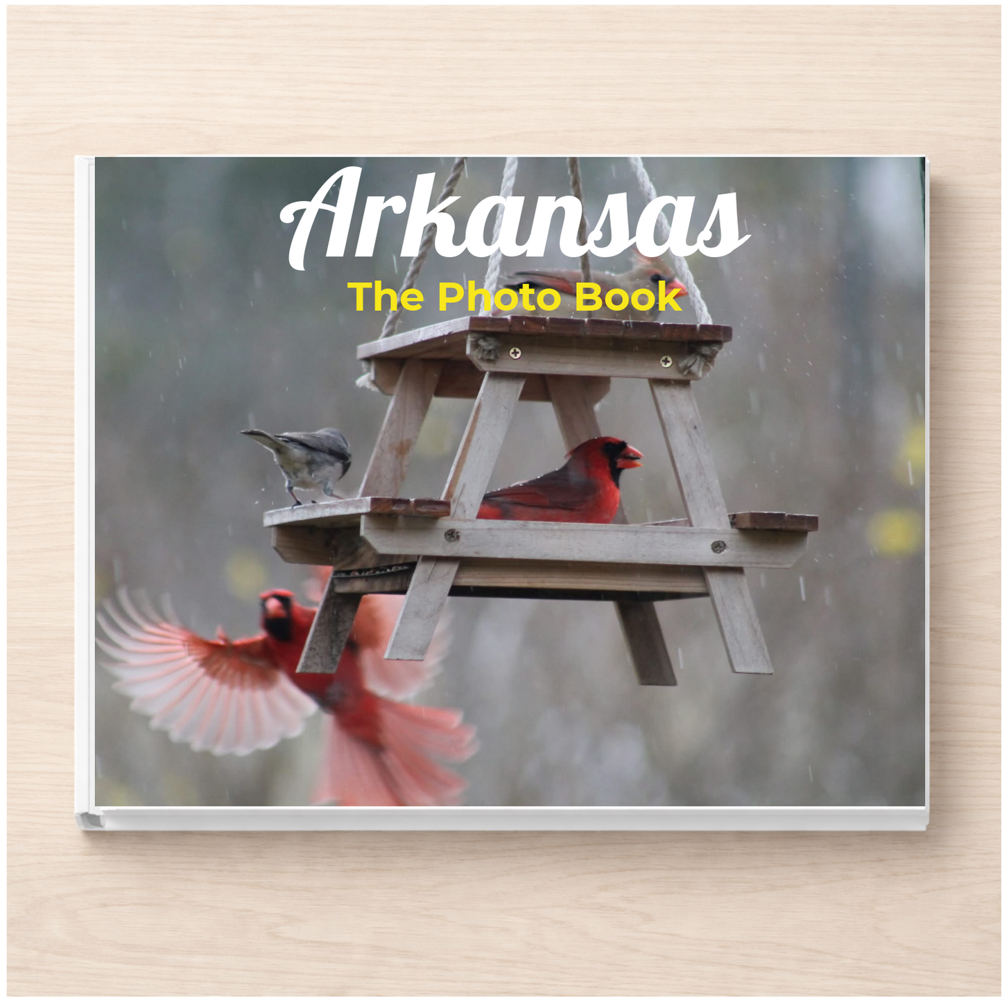 Arkansas: The Photo Book