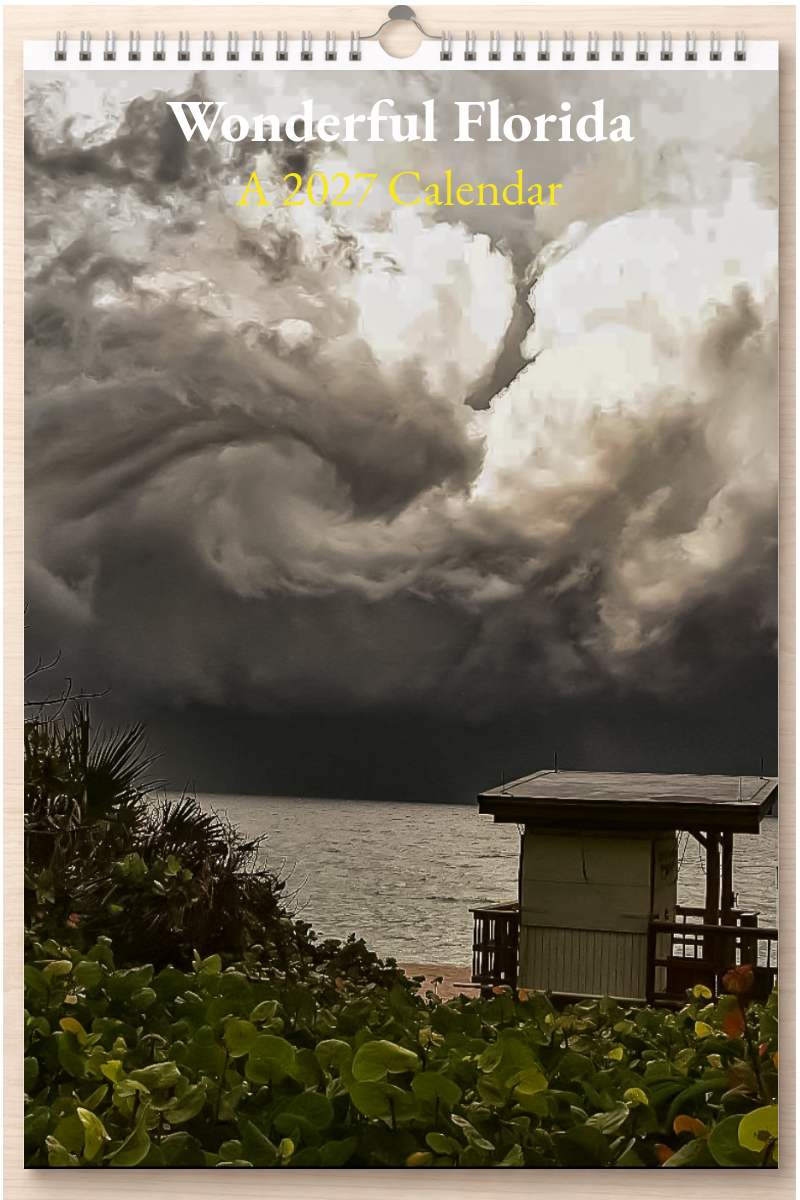 Wonderful Florida: A 2027 Calendar