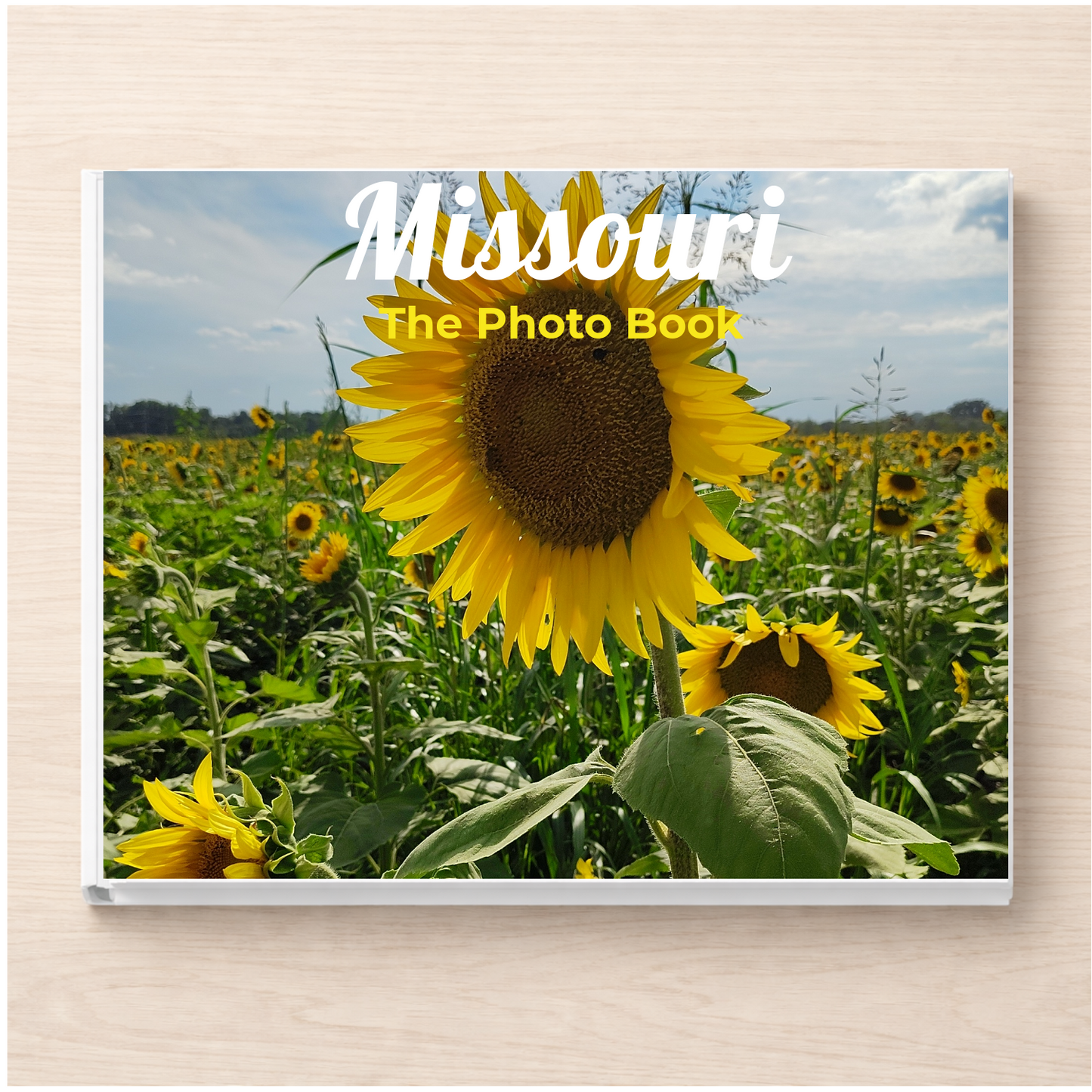 Missouri: The Photo Book