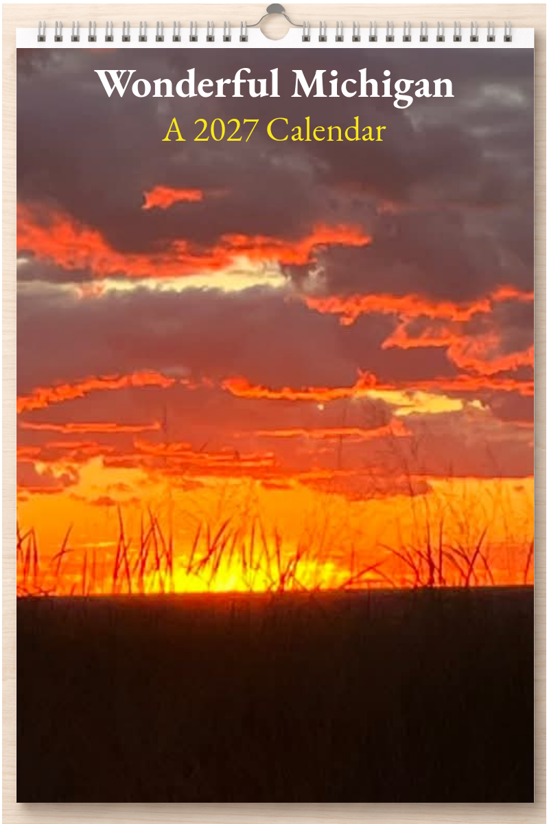 Wonderful Michigan: A 2027 Calendar
