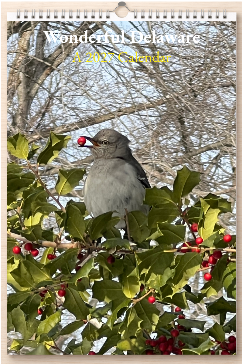 Wonderful Delaware: A 2027 Calendar
