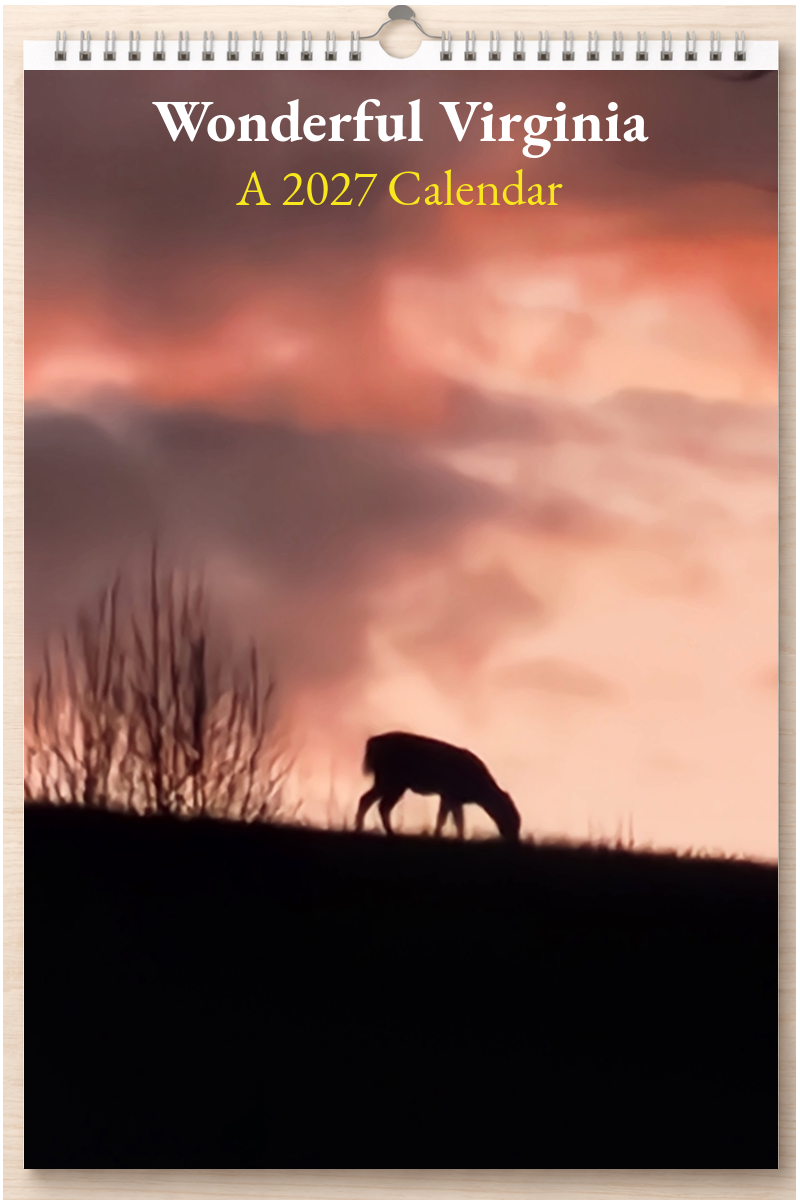 Wonderful Virginia: A 2027 Calendar
