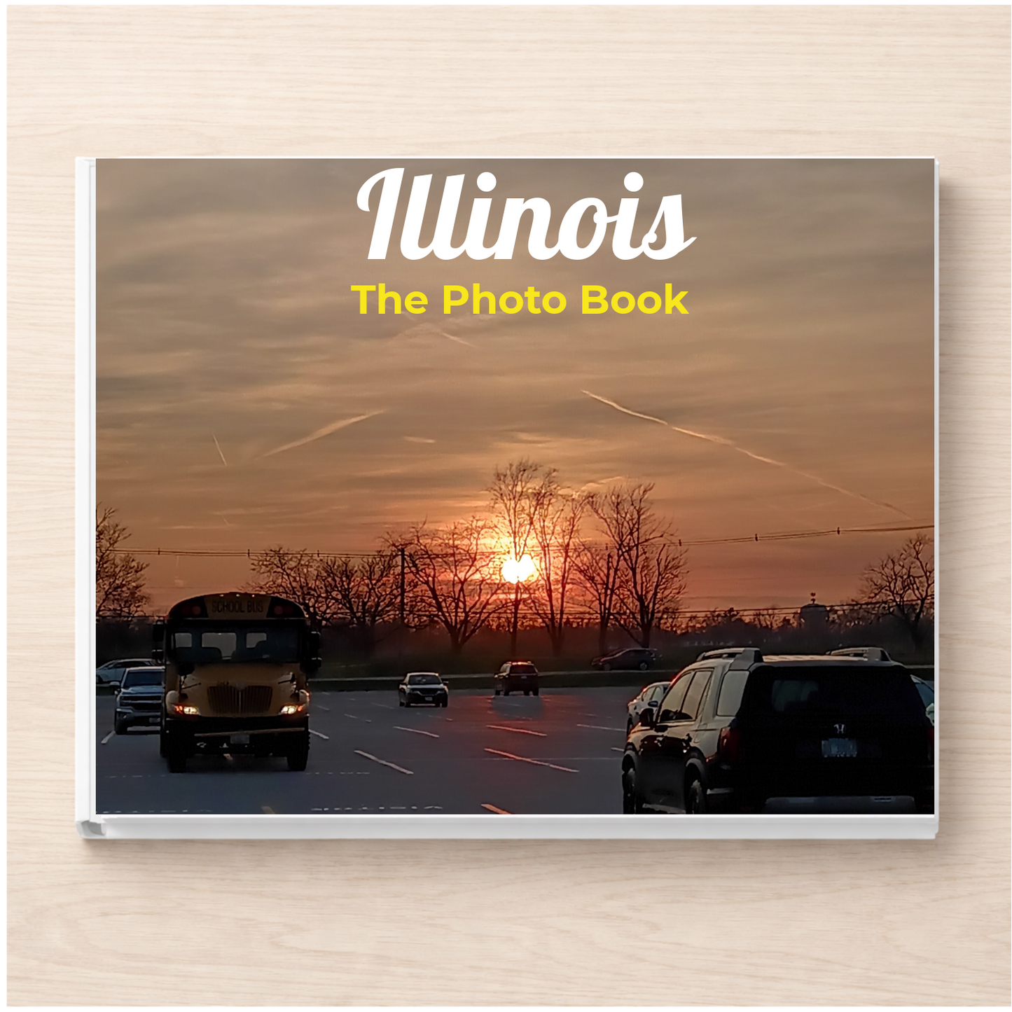 Illinois: The Photo Book