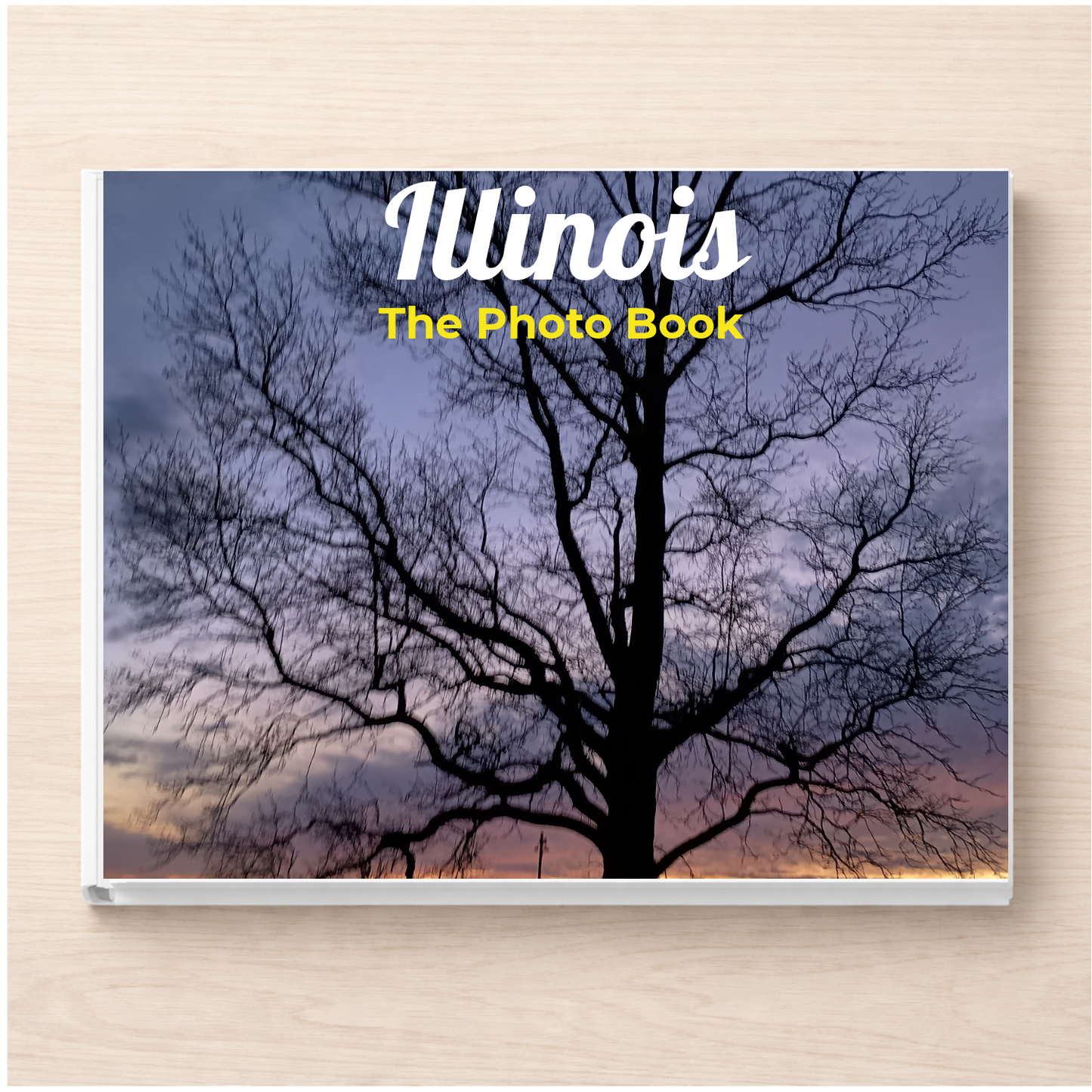 Illinois: The Photo Book