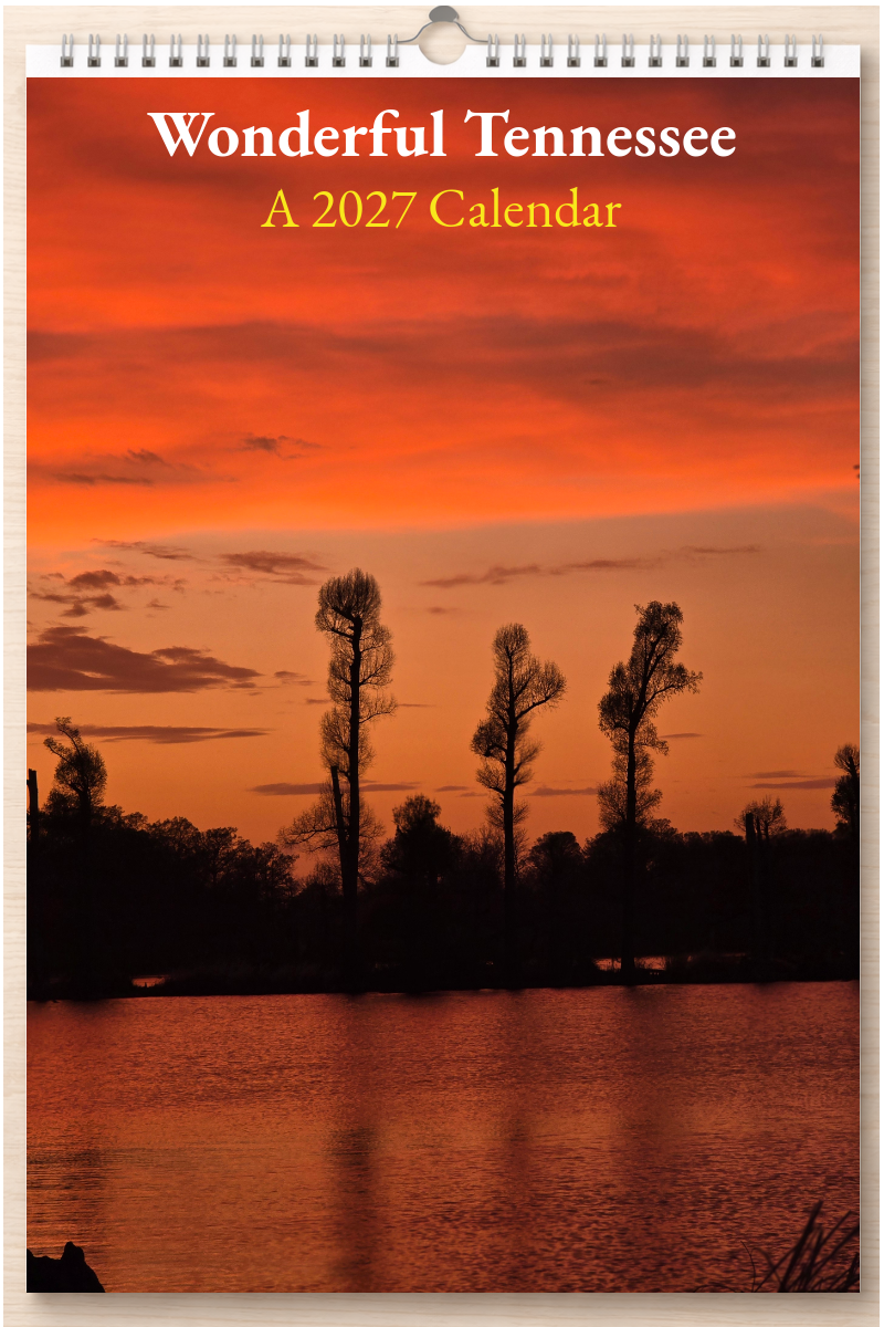 Wonderful Tennessee: A 2027 Calendar
