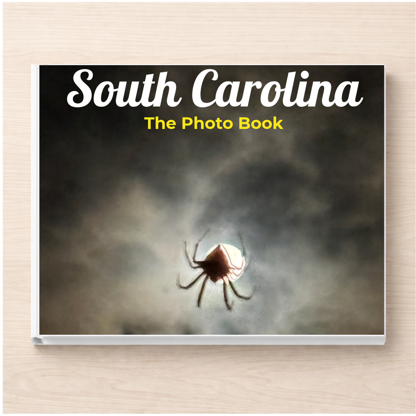 South Carolina: The Photo Book
