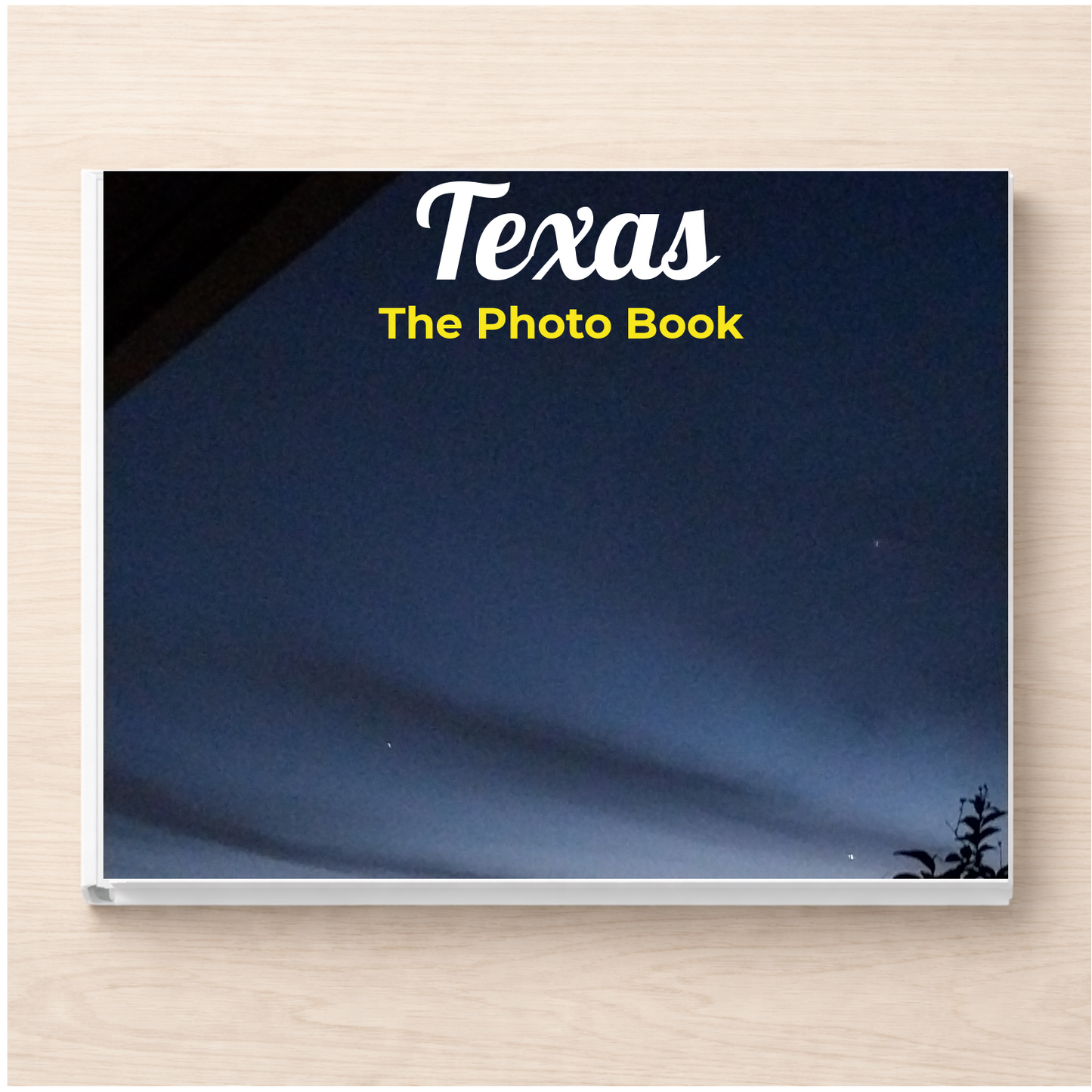Texas: The Photo Book