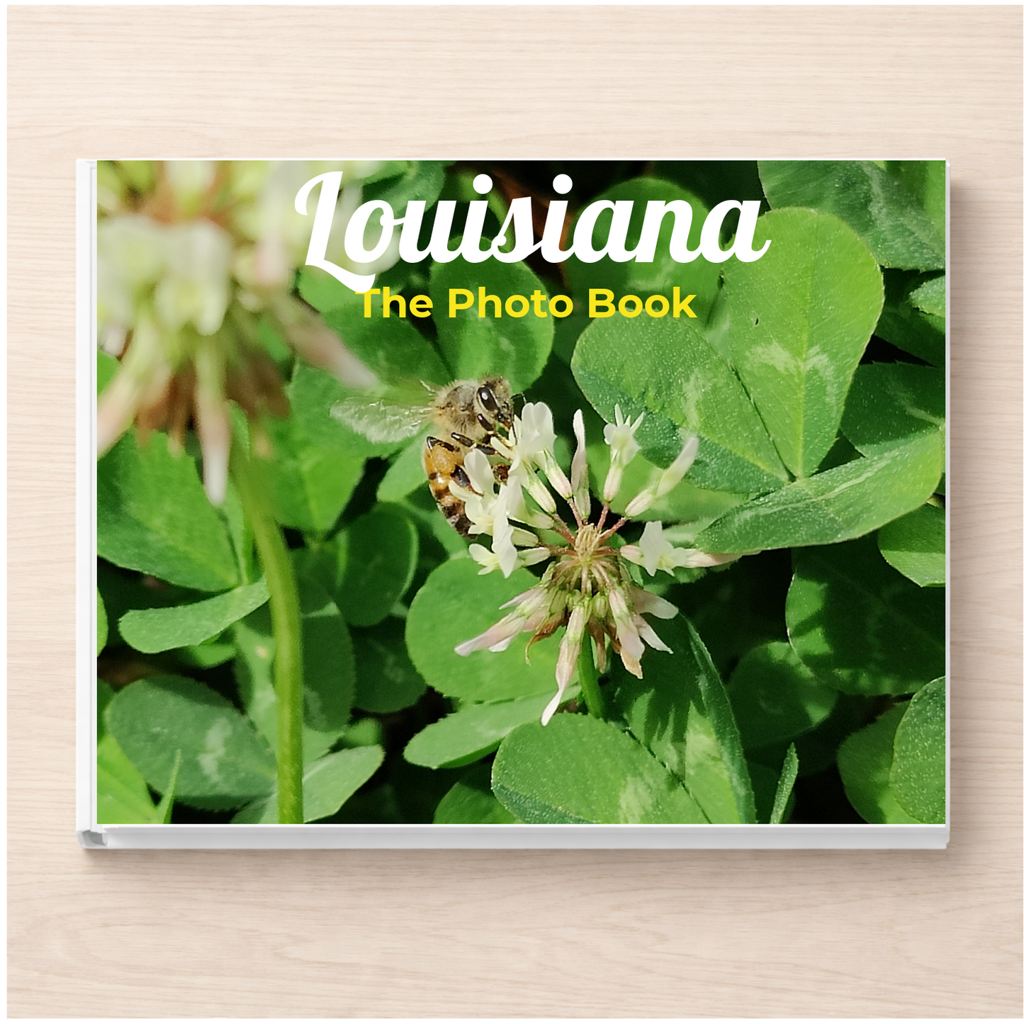 Louisiana: The Photo Book