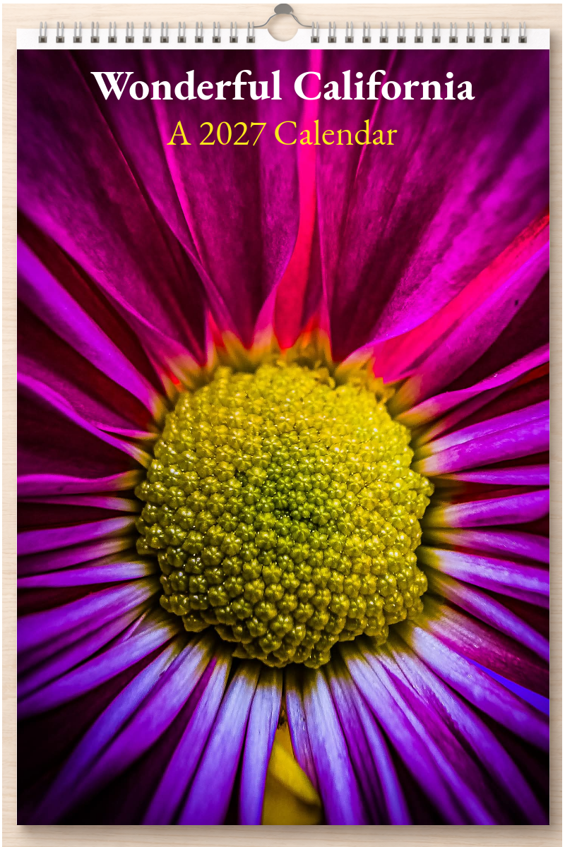 Wonderful California: A 2027 Calendar